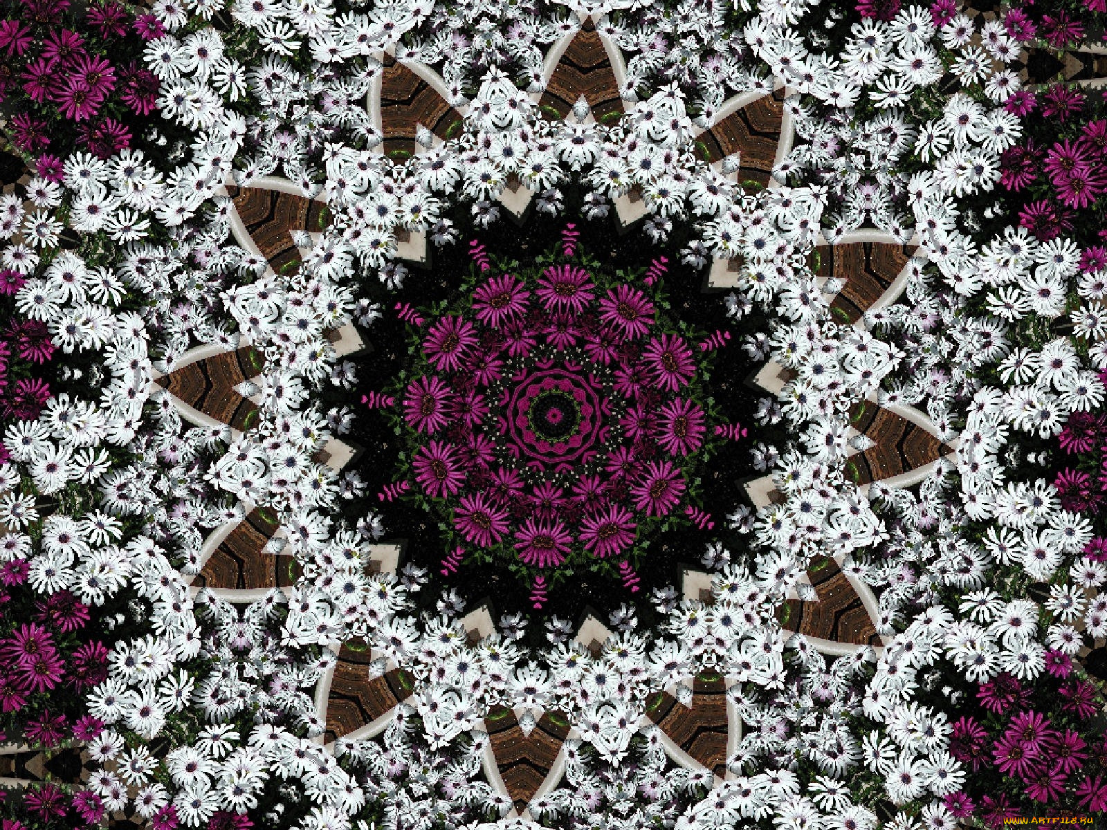 3, , fractal, , , , 